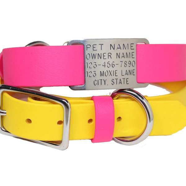 Waterproof Dog Collar with ID Tag / Two Tone with Many Color Options/ Moxie Collars /