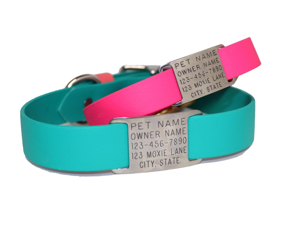 Dog Name Tag / Dog Collar Tag AddOn / Slide on Nameplate / Etsy