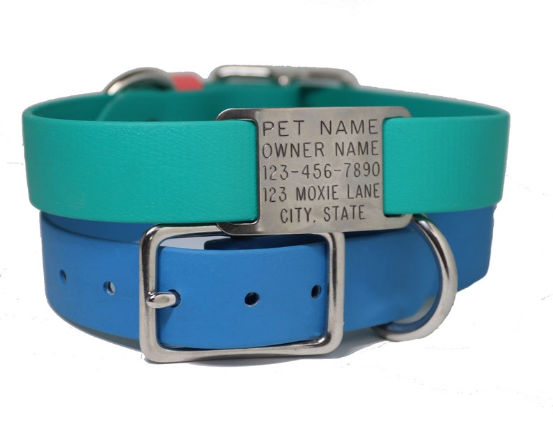Waterproof Dog Collar with Nameplate / Dog ID Collar / Slide Etsy
