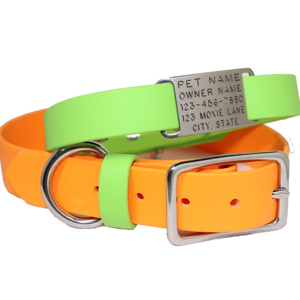 Dog Collar with Personalized Name Plate / Many Color Options/ Moxie Collars