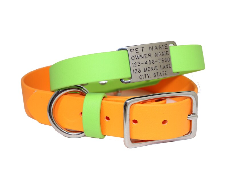 Dog Collar With Personalized Name Plate / Many Color Options/ Etsy