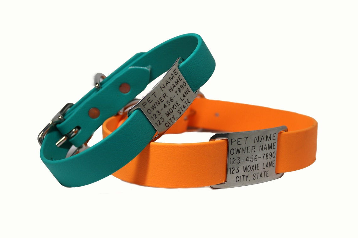 Dog Name Tag / Dog Collar Tag Addon / Slide on Nameplate / Etsy