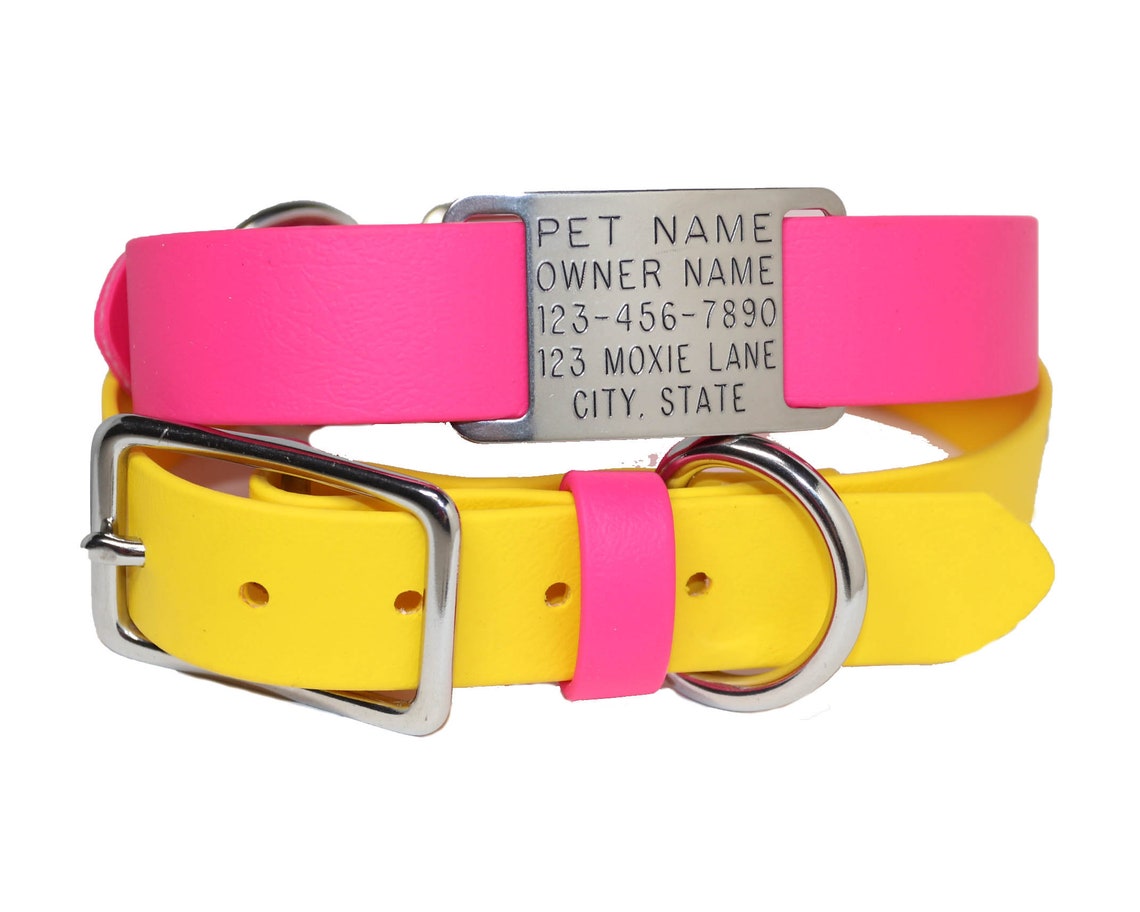 Dog Name Tag / Dog Collar Tag Addon / Slide on Nameplate / Etsy