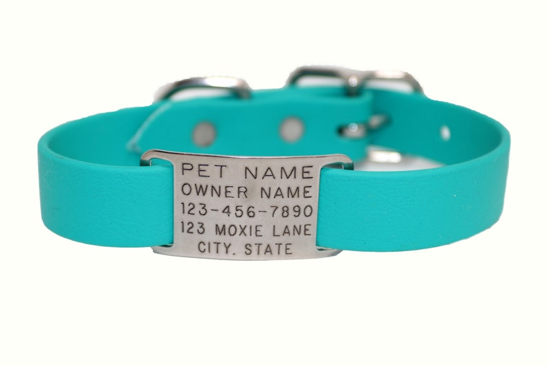 Waterproof Dog Collar with Nameplate / Dog ID Collar / Slide Etsy