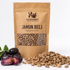 Jamun Beej (Syzygium cumini) | Whole Java Plum Seeds | Natural Dried Fruit Seeds