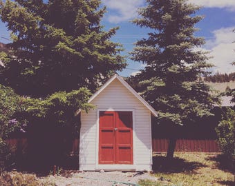 colorado art print creede church nature outdoors pine trees square print