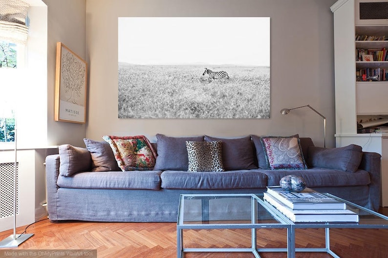 Puede incluir: Fotograf&iacute;a en blanco y negro de una cebra descansando en un campo de hierba. La obra de arte se exhibe sobre un sof&aacute; azul con cojines decorativos. La habitaci&oacute;n tiene una est&eacute;tica moderna con una mesa de centro de cristal.