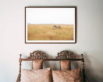 into the wild // photography, africa photograph. kenya photograph, zebra art print, square print, nursery art, wall art, nursery, zebra