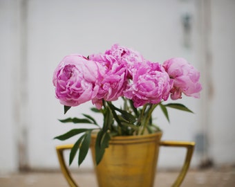 floral botanical boho decor nature peony photograph boho home decor square print bohemian peonies