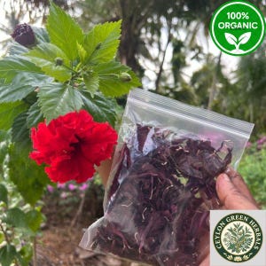 Peut inclure: Un sachet en plastique transparent refermable contenant des pétales d'hibiscus séchés rouge foncé, tenu à côté d'une fleur d'hibiscus rouge vif avec des feuilles vertes et un logo circulaire vert indiquant 100% ORGANIC.