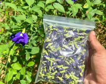 Ekologiskt te med blå fjärilsärtor | Clitoria Ternatea, naturlig örtdryck