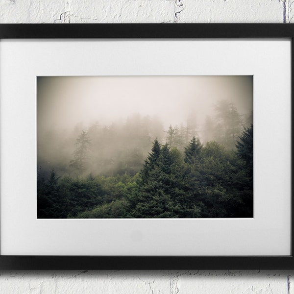 Oregon Photography Trees in Fog Misty Foggy Forrest