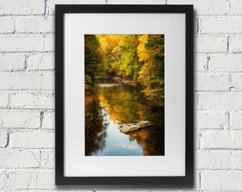 Wissahickon Park Fairmount Park In The Fall - Photograph of Wissahickon park Trees and Creek in Autumn in Philadelphia Fine Art Print