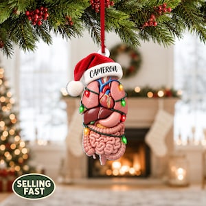 May include: A hanging ornament featuring a detailed anatomical illustration of human internal organs, including the heart, lungs, liver, and intestines, wrapped in colorful Christmas lights and wearing a red Santa hat with the name CAMERON.