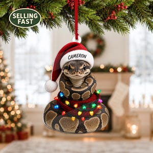 May include: A flat, circular Christmas ornament featuring a coiled brown and black patterned snake wearing a red and white Santa hat with the name CAMERON printed on the brim. The snake is wrapped in a string of colorful, glowing holiday lights.