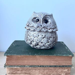 May include: A ceramic owl figurine with a speckled white and dark grey glaze. The owl has two glossy black eyes and a textured surface featuring carved feather details across its rounded body, sitting atop two stacked vintage hardback books.