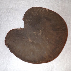 Draper Maynard Catcher&#39;s Mitt