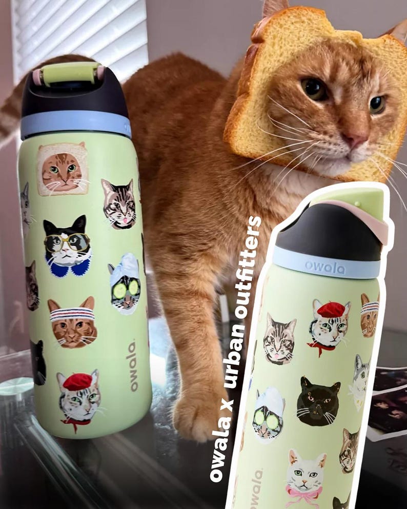 May include: Two Owala water bottles with cat-themed stickers. The bottles are light green with black and light blue lids. The stickers feature various cat faces with accessories. The text "owala x urban outfitters" is visible.