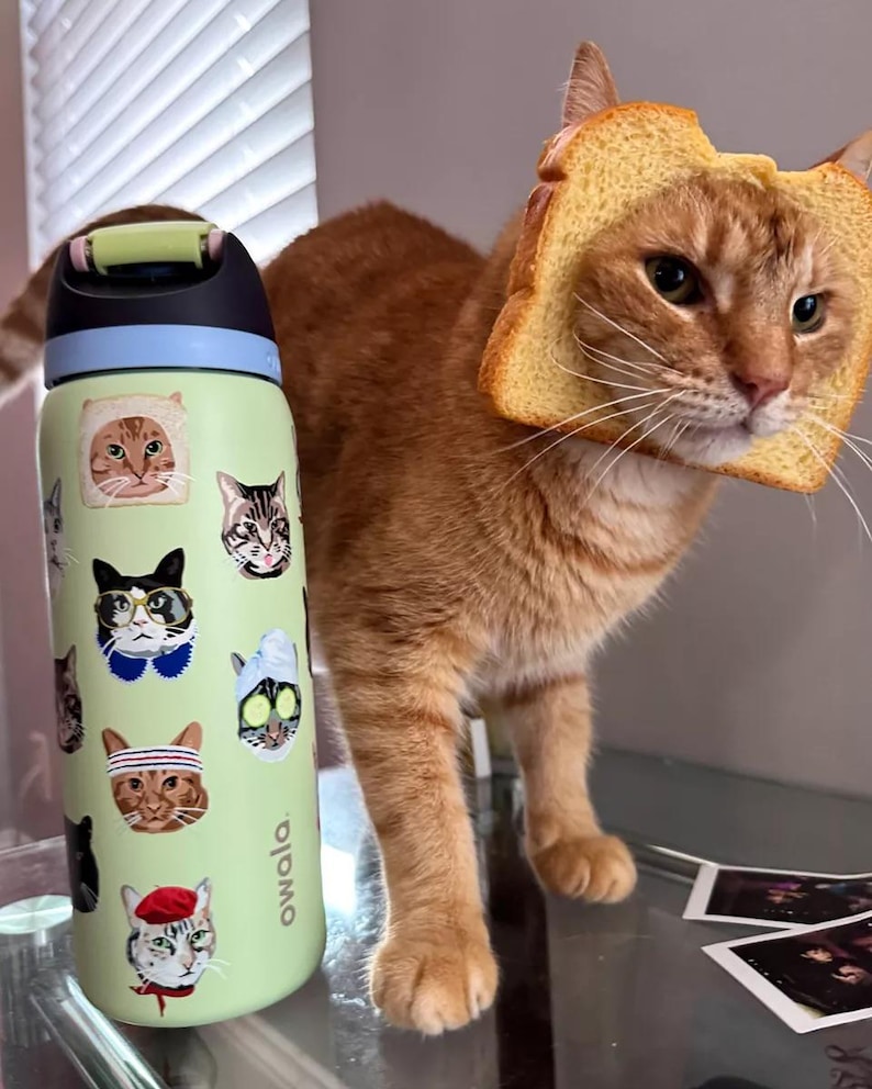 May include: A light green Owala water bottle decorated with various cat faces, and an orange tabby cat wearing a slice of bread on its head. The bottle has a black and green lid. The cat is standing next to the bottle.