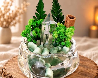 Minijardín de cristal verde con punta de cristal transparente, decoración botánica de escritorio en cuenco de cristal.