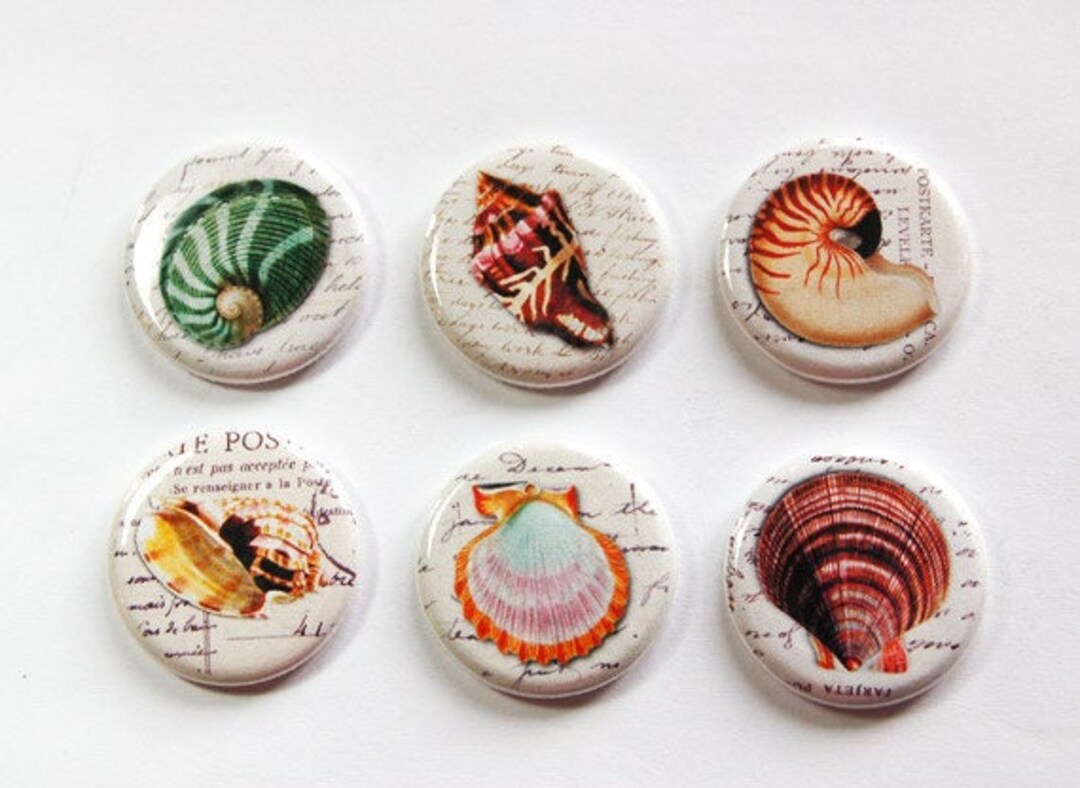 Seashell Magnets, Nature Magnets, Button Magnets, Kitchen Magnets ...