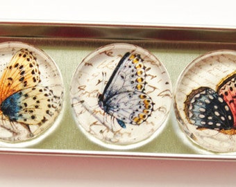 Butterfly Glass Magnets, Fridge Magnets, Nature Magnet, Butterfly Magnets, Glass Magnets