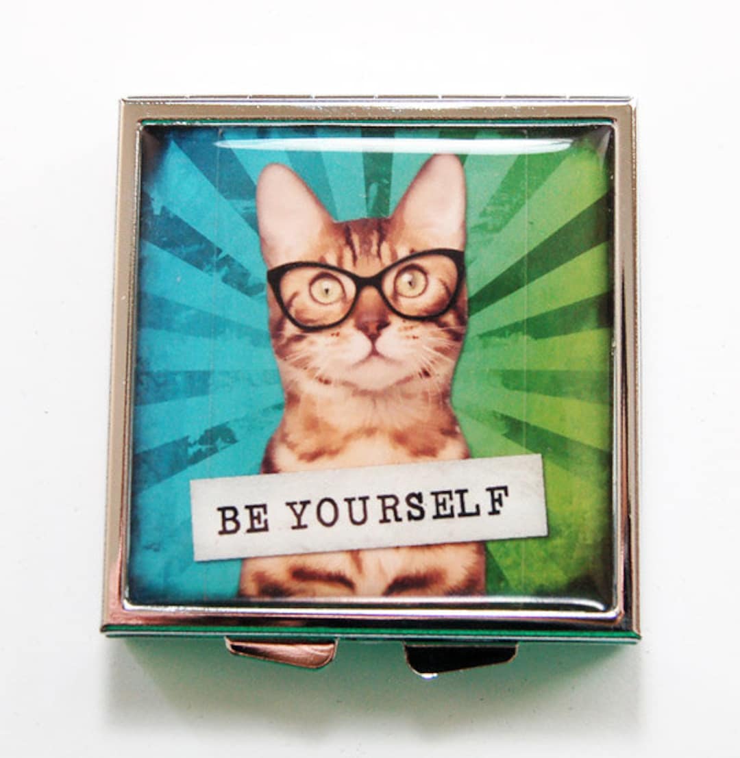 Cat Pill Case, Square Pill Box, Cat Pill Box, 4 Sections, Pill Case