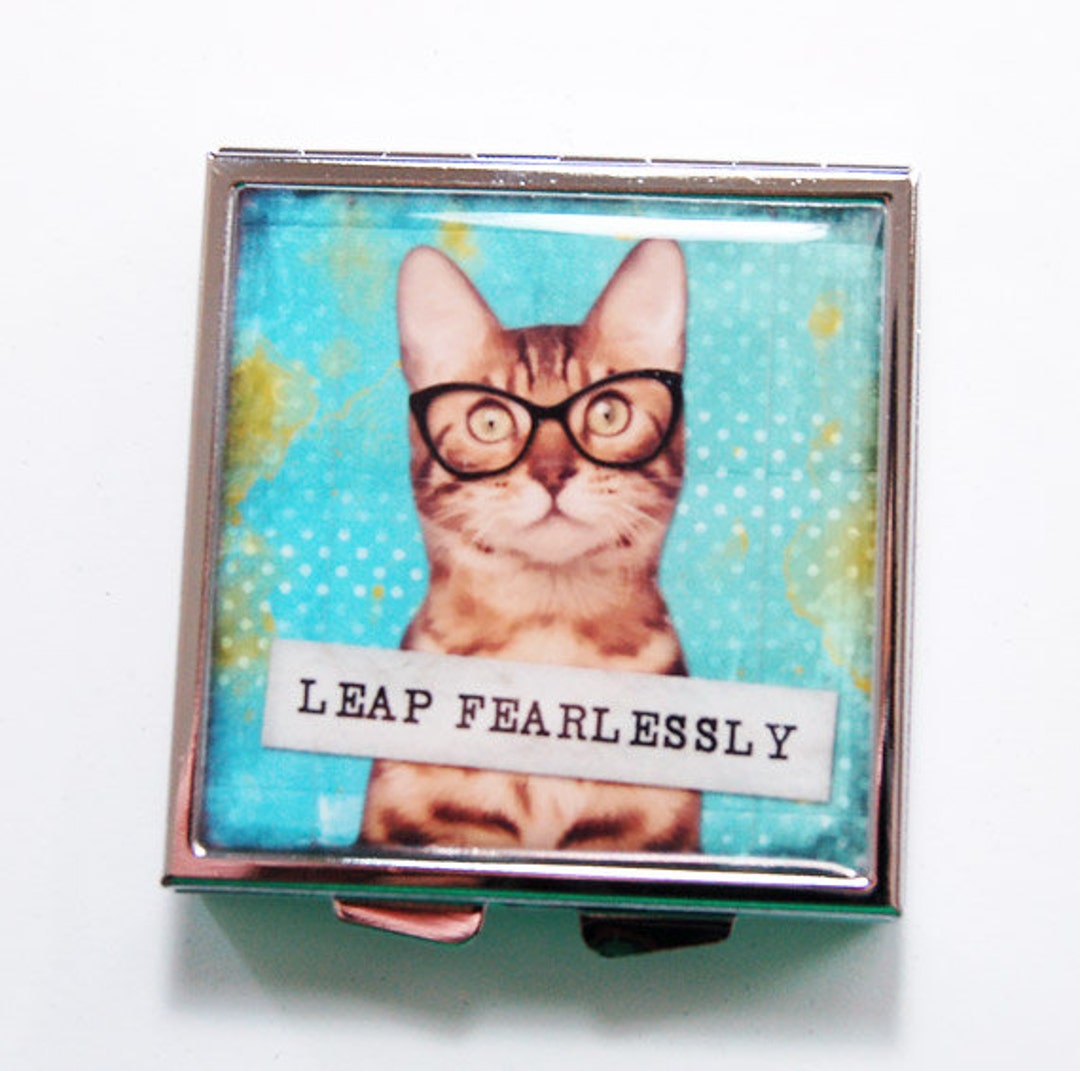 Square Pill Box, Cat Pill Case, Cat Pill Box, 4 Sections, Pill Case