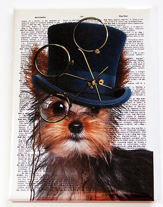 Yorkie Magnet Fridge Magnet Kitchen Magnet Magnet Aceo Etsy