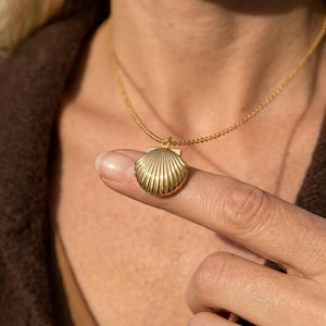 May include: A gold-toned necklace featuring a small, textured seashell pendant with vertical ridges. The pendant is suspended from a delicate, thin gold-toned chain that rests against the neck, showcasing a polished metallic finish throughout.