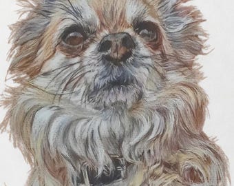 Realistic Dog Portrait Print – Hand Drawn Pet Art, Cozy Animal Wall Decor (Printable)