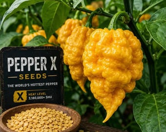 Pepper X / Il peperoncino più piccante del mondo (50 semi)