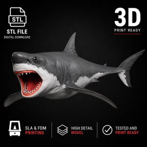 Może przedstawiać: Cyfrowy model 3D żarłacza białego z szarym grzbietem, białym brzuchem i otwartą paszczą z rzędami ostrych zębów. Obraz zawiera etykiety tekstowe: STL FILE DIGITAL DOWNLOAD, 3D PRINT READY, SLA & FDM PRINTING, HIGH DETAIL MODEL.
