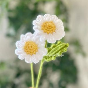 Può includere: Due fiori di margherita all'uncinetto con petali bianchi e centri gialli, attaccati a sottili steli verdi con una singola foglia verde testurizzata. Il testo @happyyarnloops è visibile sullo stelo di questa composizione floreale in fibra.