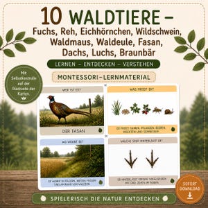 Puede incluir: Tarjetas educativas con 10 animales del bosque, incluido un faisán. Las tarjetas muestran imágenes de un faisán, su dieta, hábitat y huellas con texto en alemán. El conjunto se titula 10 WALDTIERE e incluye secciones para aprender, descubrir y entender.