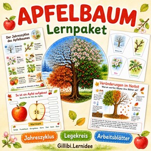 Pode incluir: Um kit educativo intitulado APFELBAUM Lernpaket com uma ilustração circular central de uma macieira nas quatro estações, rodeado por fichas de trabalho sobre o ciclo de vida, anatomia da maçã e mudanças sazonais em alemão.