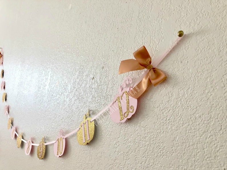 Our Little Pumpkin is One! First Birthday Decorations 1st Birthday Little Pumpkin Photo Banner Shabby Chic Pink and Gold Little Pumpkin
