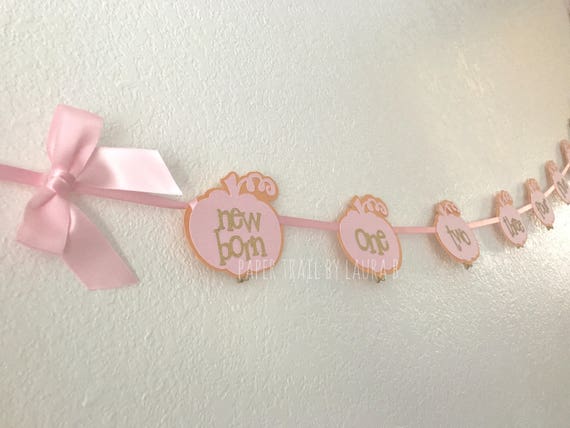 Little Pumpkin 1st Birthday Photo Banner in Pink, Peach and Gold Little Pumpkin. First Birthday Decorations. Monthly Photo Clips. Il_570xn