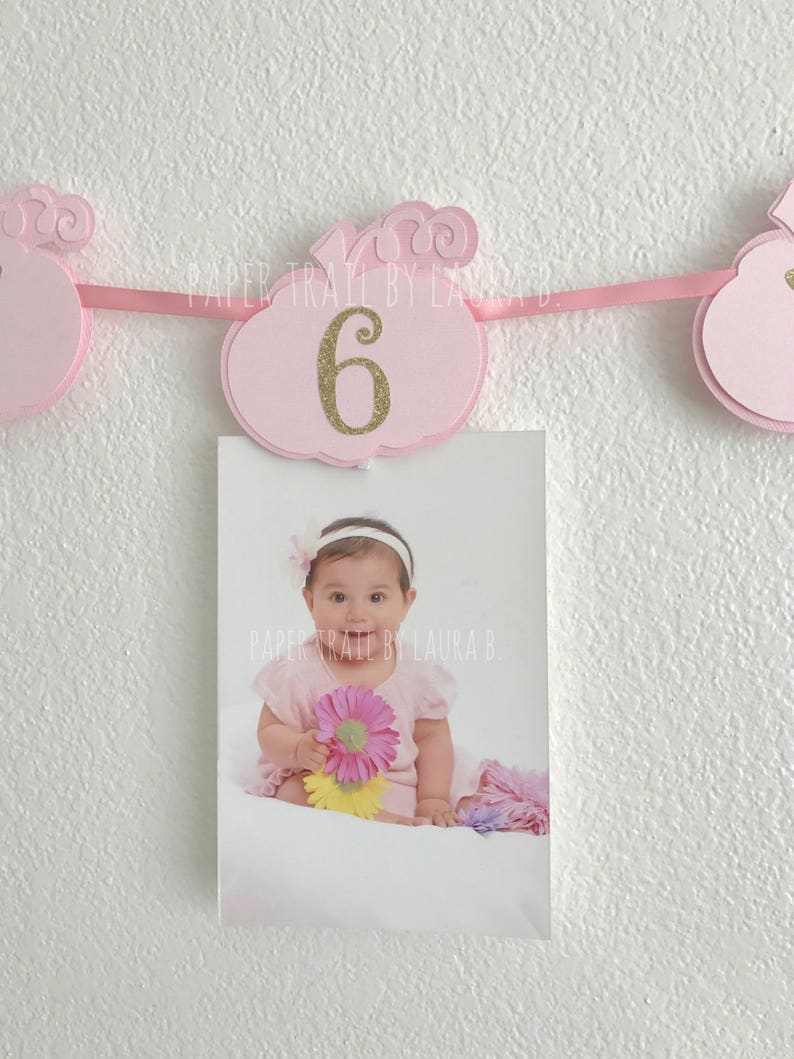 Our Little Pumpkin is One! First Birthday Decorations 1st Birthday Little Pumpkin Photo Banner Shabby Chic Pink and Gold Little Pumpkin