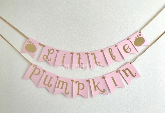 Our Little Pumpkin is One! First Birthday Decorations 1st Birthday Little Pumpkin Photo Banner Shabby Chic Pink and Gold Little Pumpkin