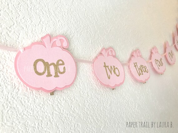 Little Pumpkin 1st Birthday Photo Banner Shabby Chic. Pink and Gold Little Pumpkin. First Birthday Decorations. Monthly Photo Clips. Il_570xn