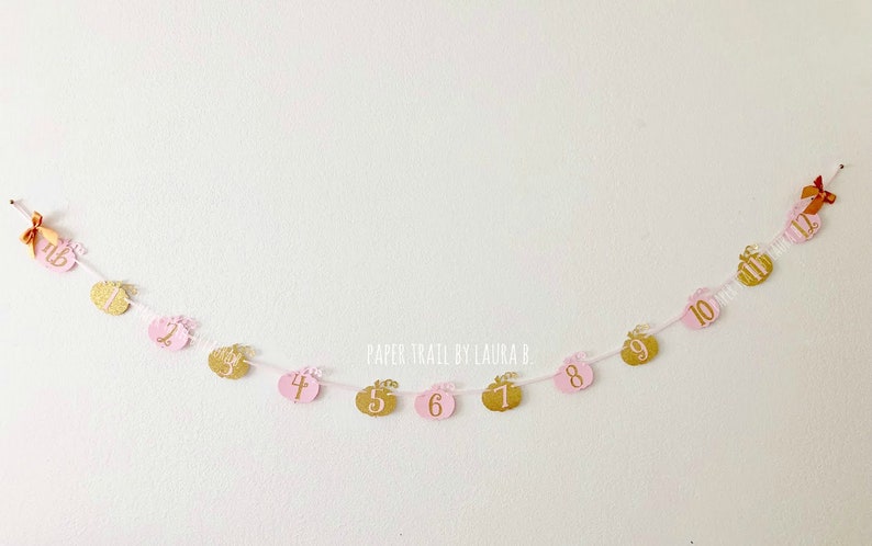 Our Little Pumpkin is One! First Birthday Decorations 1st Birthday Little Pumpkin Photo Banner Shabby Chic Pink and Gold Little Pumpkin