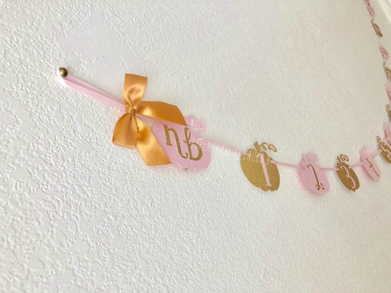 Our Little Pumpkin is One! First Birthday Decorations 1st Birthday Little Pumpkin Photo Banner Shabby Chic Pink and Gold Little Pumpkin