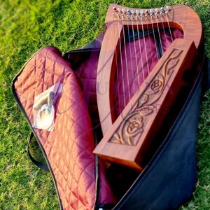 Può includere: Un'arpa in legno con corde, appoggiata nella sua custodia nera aperta su una superficie erbosa. L'arpa presenta intagli decorativi e accenti colorati. La custodia ha un interno trapuntato bordeaux.