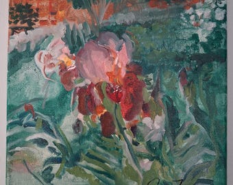 Iris