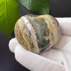 May include: A heart-shaped polished stone featuring a complex pattern of earthy tones including dark green, tan, beige, and cream. The surface displays natural banding and mineral inclusions with a smooth, glossy finish that reflects light.