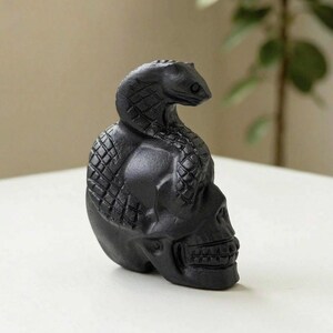 Könnte beinhalten: Eine mattschwarze Skulptur, die einen menschlichen Schädel mit einer darum gewickelten Kobra zeigt. Die Schlange weist detaillierte Schuppen am Körper und Kopf auf, während der Schädel ausgeprägte Augenhöhlen, eine Nasenhöhle und Zähne besitzt.