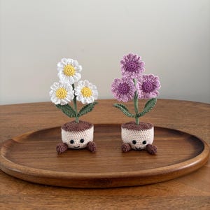 Peut inclure: Deux figurines de fleurs en crochet avec des visages souriants. L'une présente trois marguerites blanches aux centres jaunes, et l'autre trois fleurs violettes aux centres violet foncé. Les deux ont des tiges vertes, des feuilles et des pots beiges.