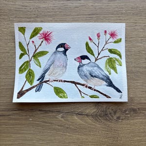 May include: Watercolor painting of two birds perched on a branch with green leaves and pink flowers. The birds have gray and white feathers, black heads, and red beaks. The artwork is on white paper.