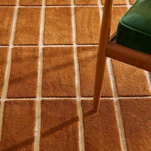 Burnt Orange Grid Area Rug Geometric Pattern Carpet Modern Minimalist Home Decor Bedroom Living Room Office Floor Accent Rug Interior Design